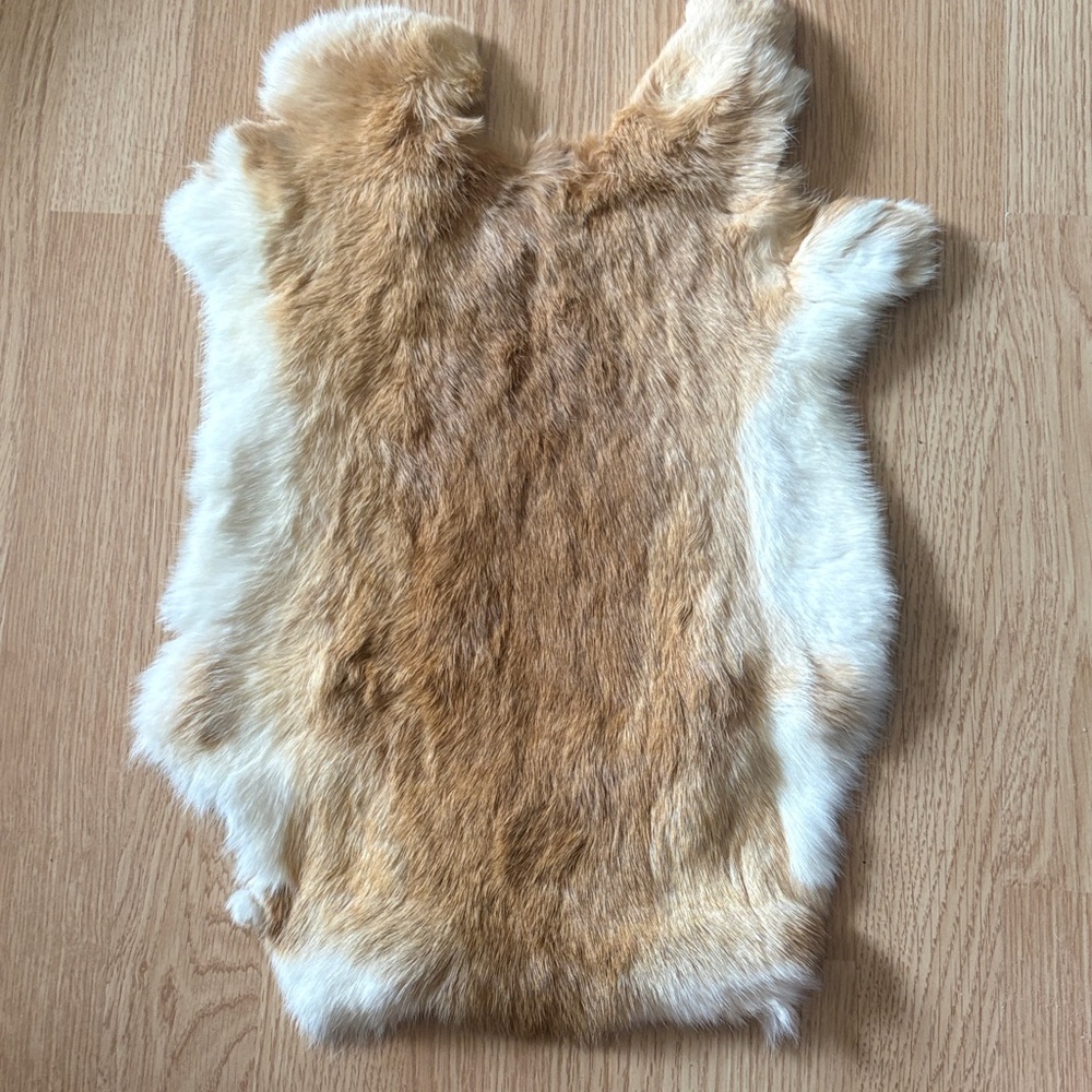 A298 Tan & Cream Rabbit Fur Pelt for Crafts and Display